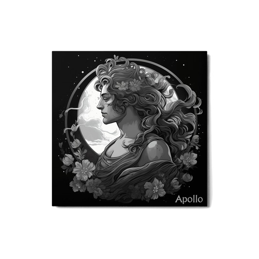 Apollo's Luminance - Black and White Hanging Wall Art High Quality Metal Print DrawDadDraw