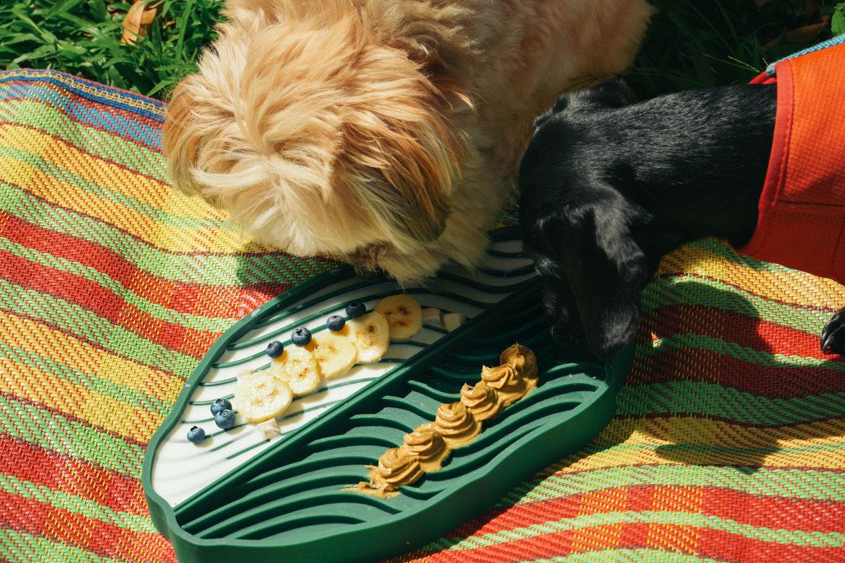 Banana Leaf Pet Lick Mat