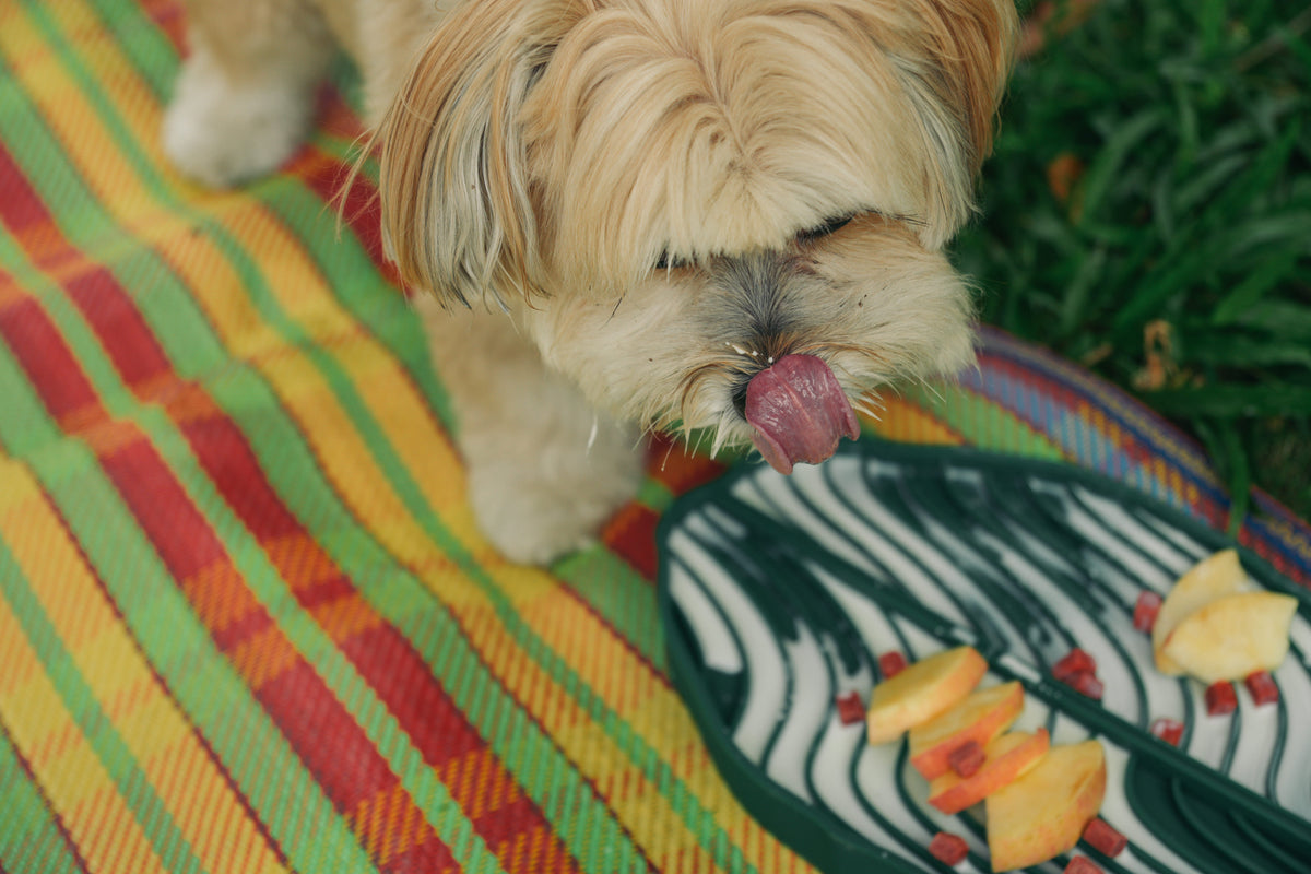Banana Leaf Pet Lick Mat