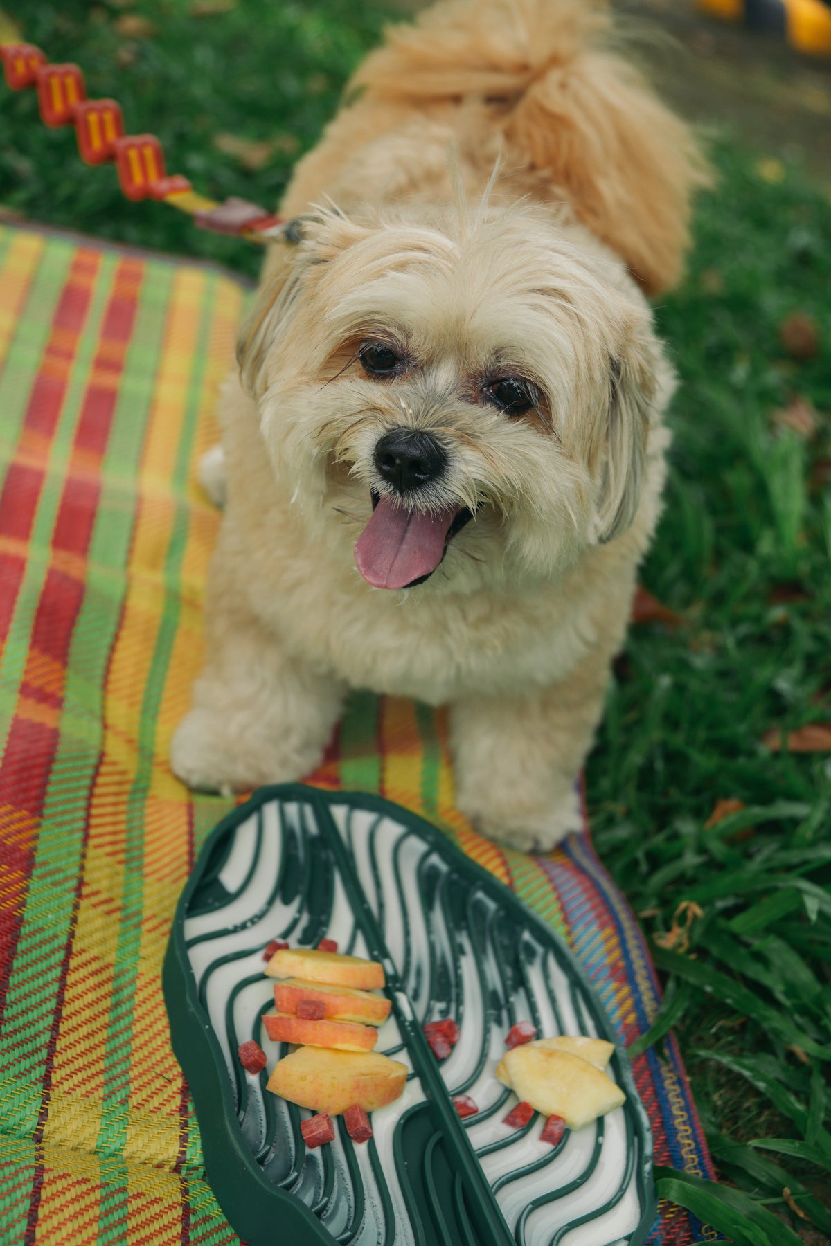 Banana Leaf Pet Lick Mat