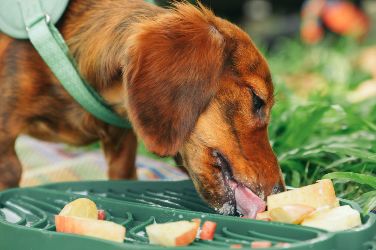 Banana Leaf Pet Lick Mat