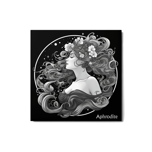 Aphrodite's Radiance - Black and White Hanging Wall Art High Quality Metal Print DrawDadDraw