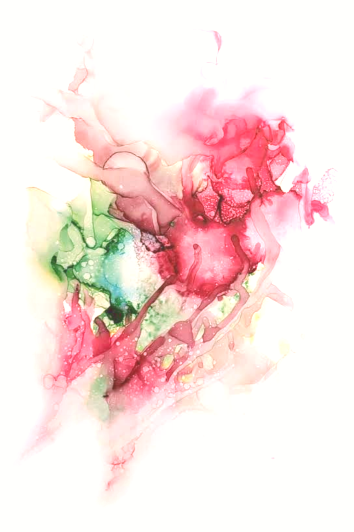 Tulips | DrawDadDraw